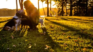 Man with his two dogs on a sunny, grassy field.