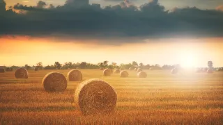 Bales in Field Sunset