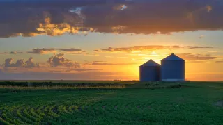 Silhouette of grain bins and green field at sunset