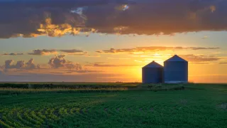 Photograph of silos in a field at sunset.