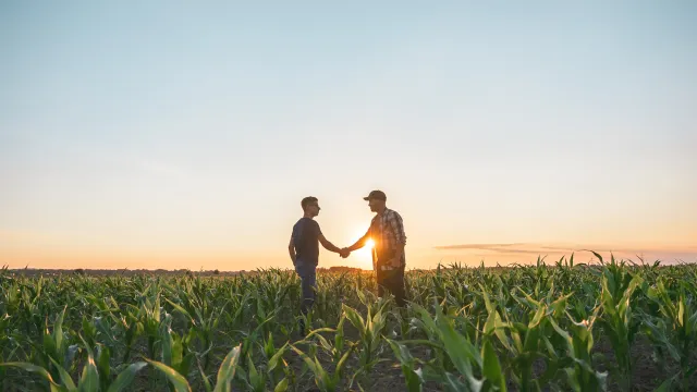 Two men shake hands in a cornfield at sunset.