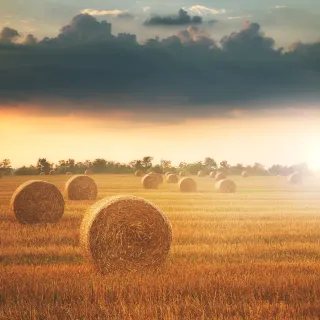 Bales in Field Sunset